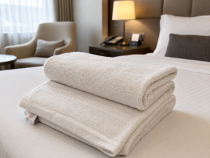 Daigonal Lines Border Bath Towel – White